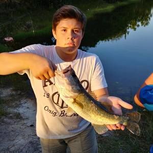 Meet your Posher, Logan